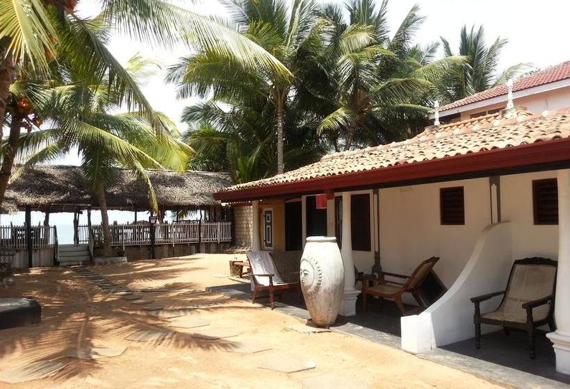 Bed and Breakfast Janus Paradise Rest