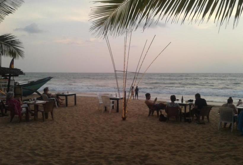 Bed and Breakfast Janus Paradise Rest