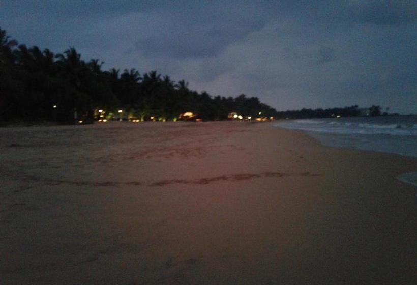 Bed and Breakfast Janus Paradise Rest