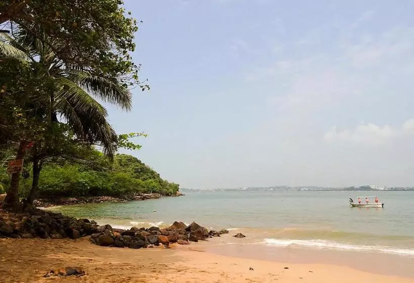 تختخواب و صبحانه Nuvin Beach