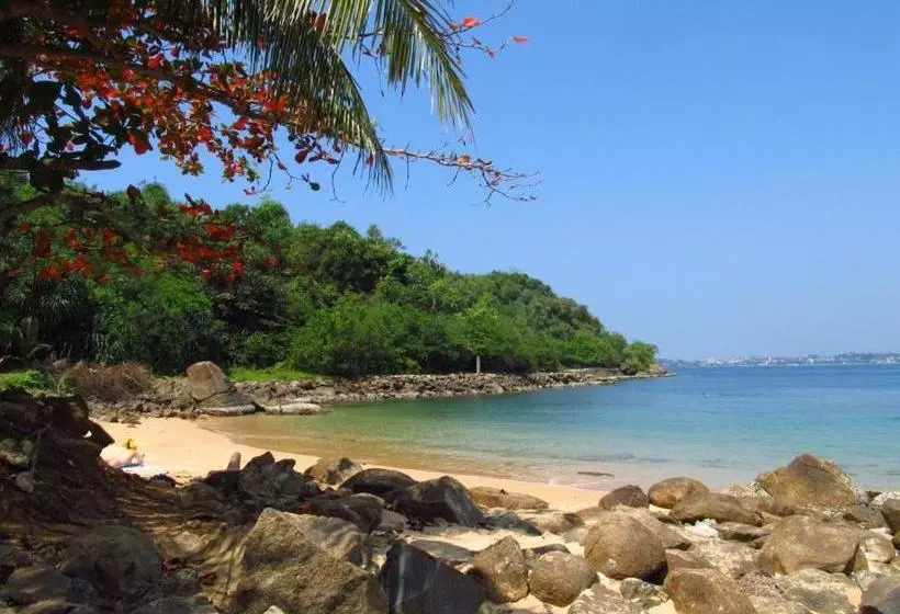 تختخواب و صبحانه Nuvin Beach