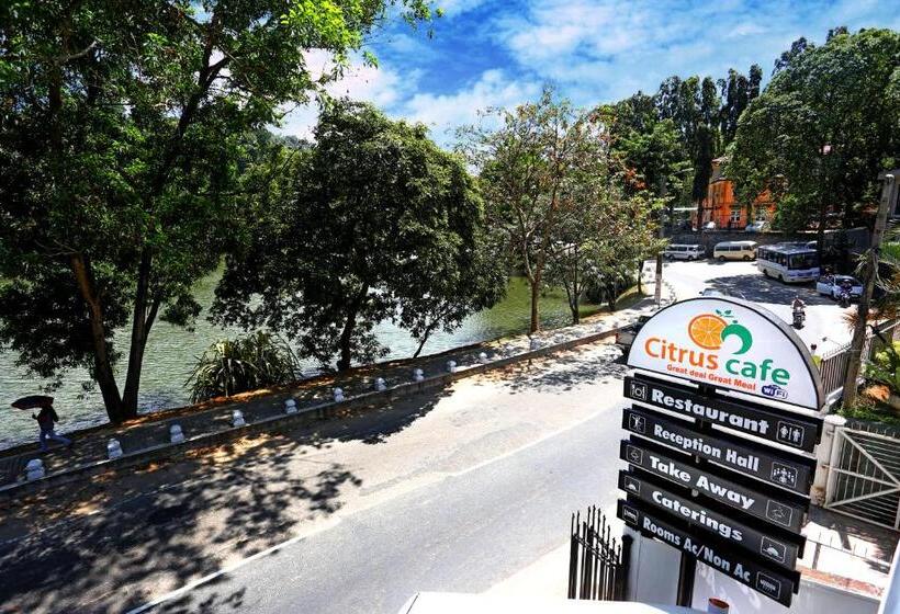 Отель Citrus Cafe & Restaurant