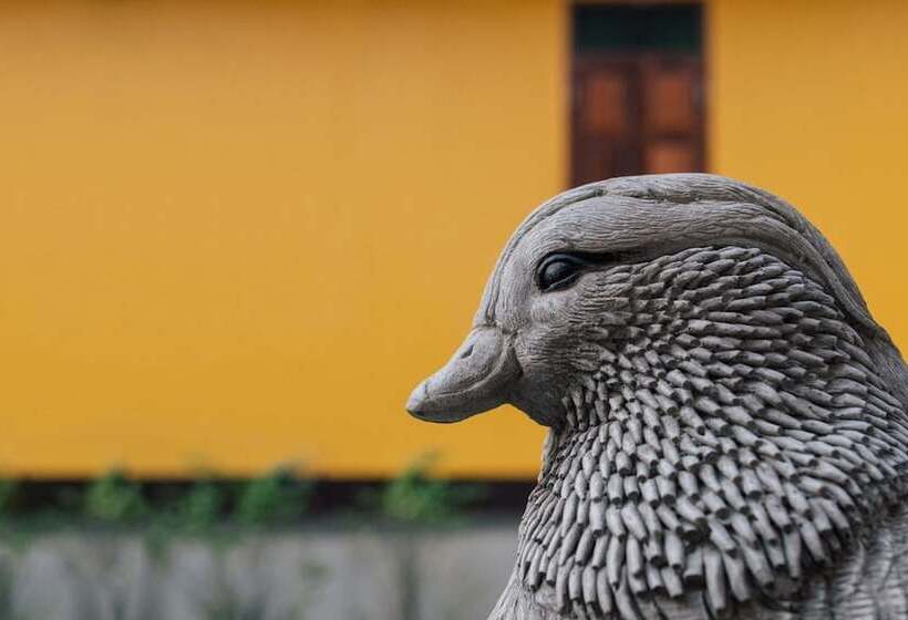 בית מלון כפרי Le Jardin