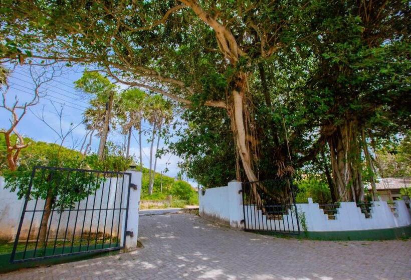 בית מלון כפרי Rest House Hambantota