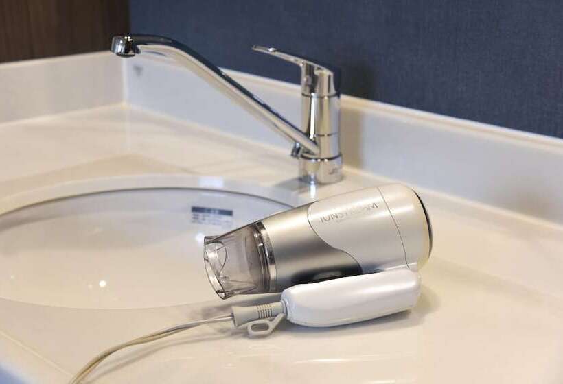 ריוקאן Shinseikan