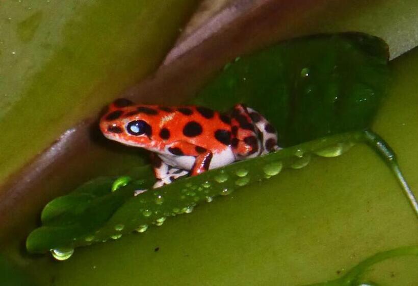 ベッドアンドブレックファースト Carmen's Place