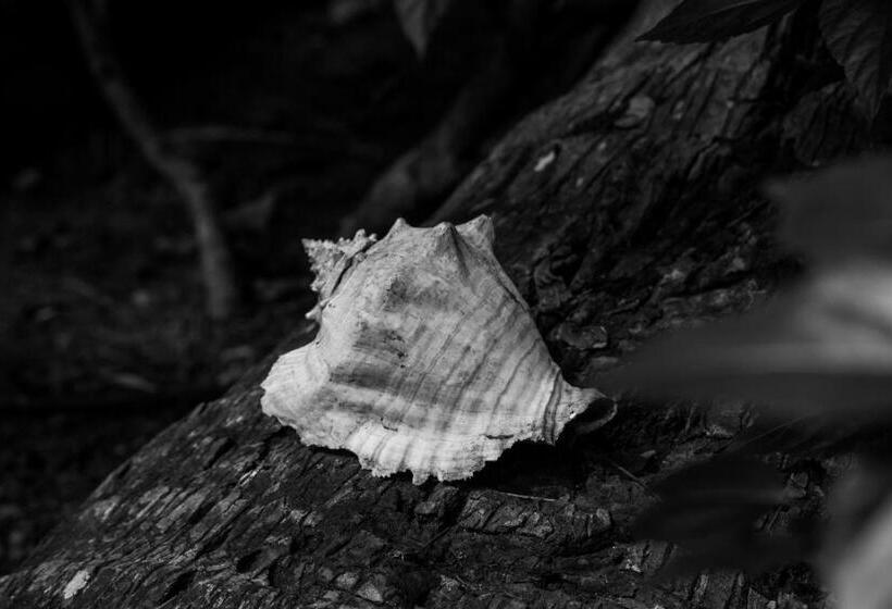 ベッドアンドブレックファースト Carmen's Place