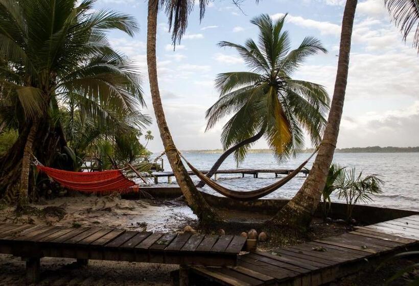 ベッドアンドブレックファースト Carmen's Place