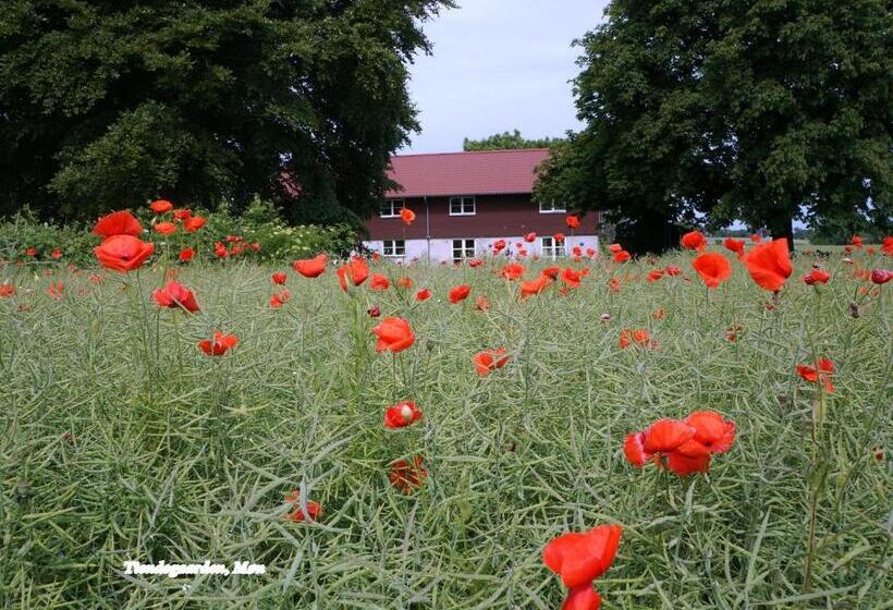 مبيت وإفطار Tiendegaarden Møns Klint