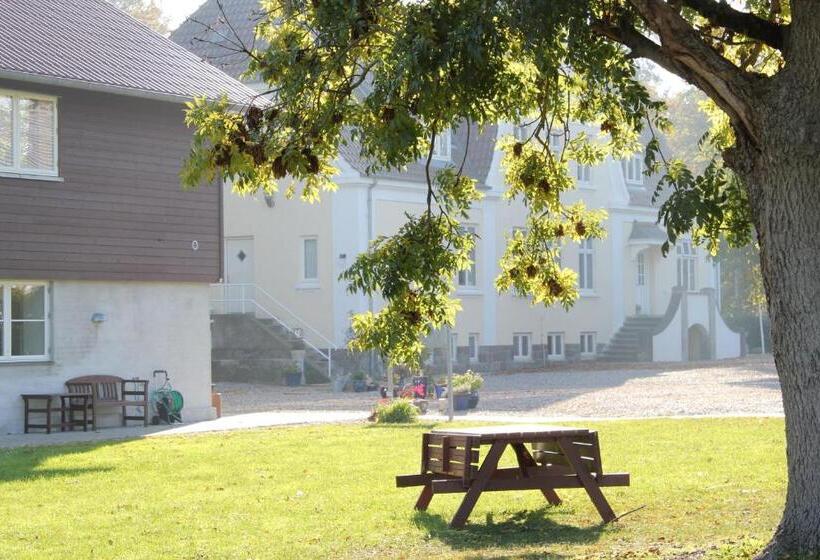 مبيت وإفطار Tiendegaarden Møns Klint