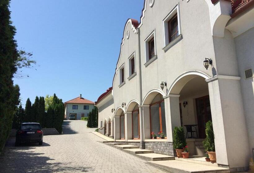 Hotelli Natural Panzió