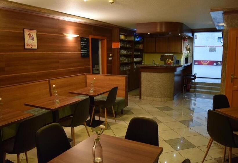 Hotelli Natural Panzió