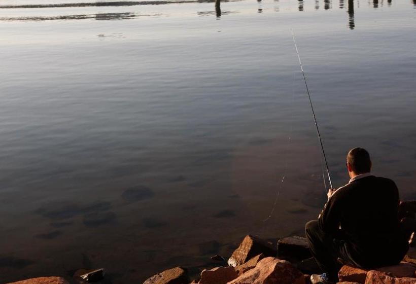 בית מלון כפרי Newcastle Harbourside Terraces