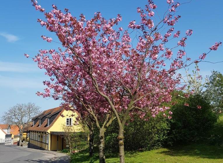 בית מלון כפרי Villum