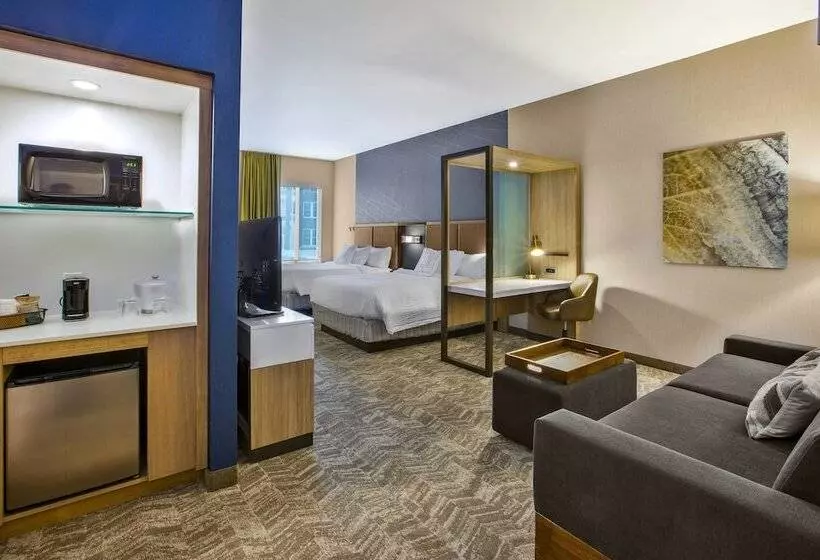 ホテル Springhill Suites By Marriott Pittsburgh Butler/centre City
