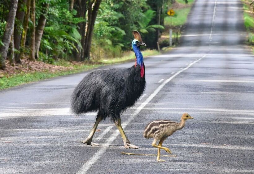 בית מלון כפרי Thornton Beach Bungalows