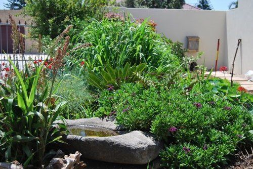 Aloe Manna Self Catering