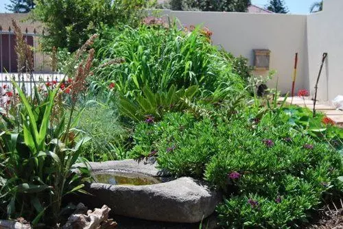 Aloe Manna Self Catering