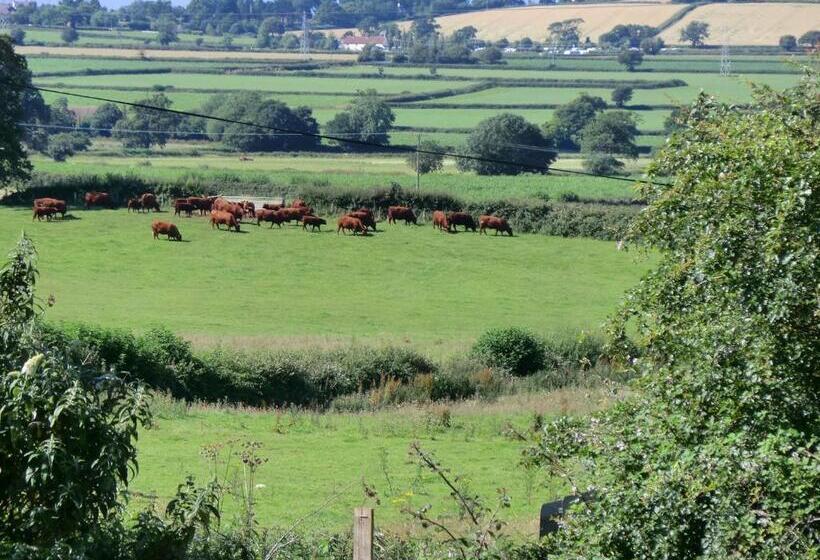 Castle Of Comfort Hotel & Restaurant