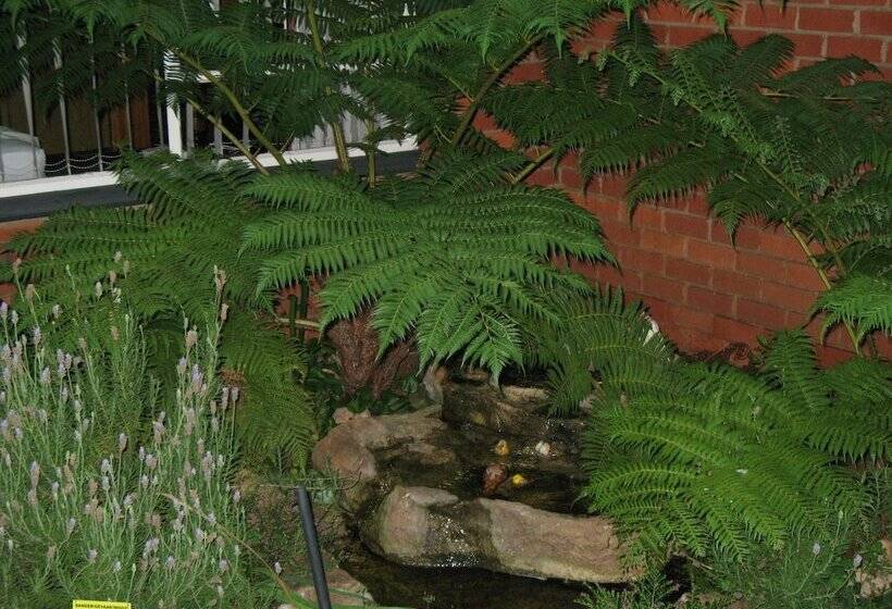 פנסיון Memra Guest House