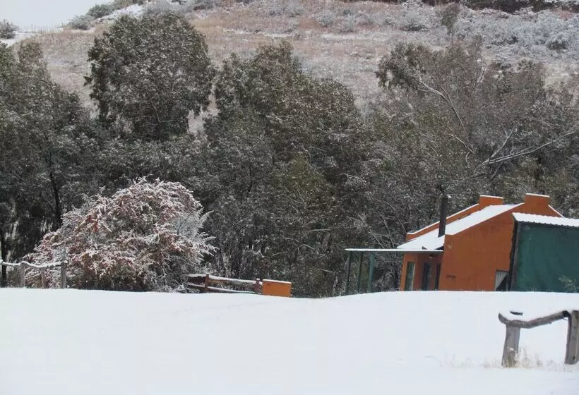 Pumula Guest Farm