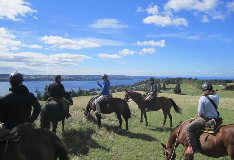 Hostal Compass Del Sur