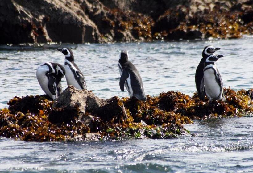 Hostal Compass Del Sur