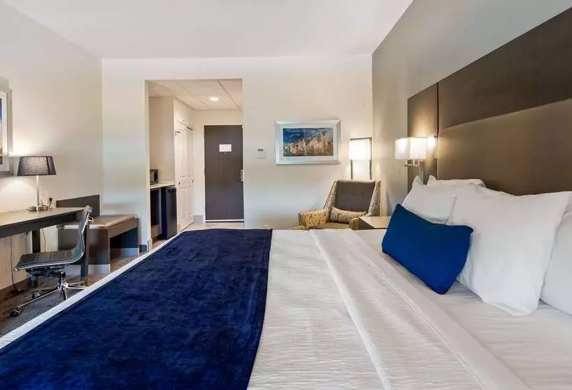ホテル Best Western Plus Roland Inn & Suites