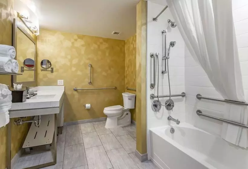 Best Western Premier Historic Travelers Hotel Alamo/riverwalk