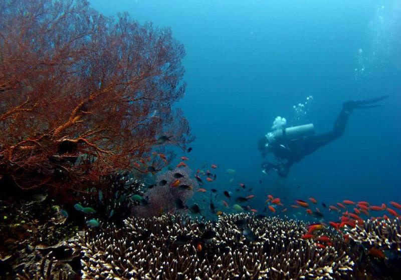 ホテル Double One Villas