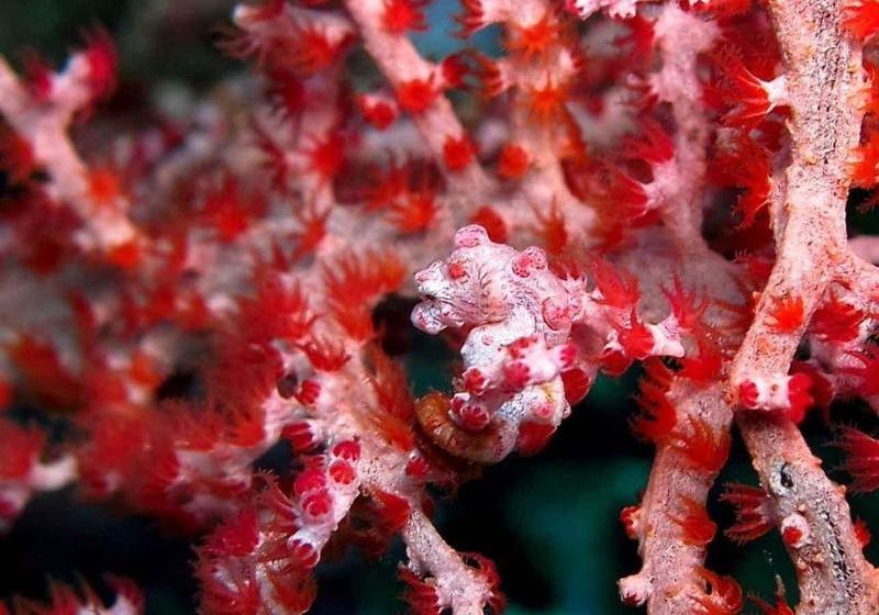 ホテル Double One Villas