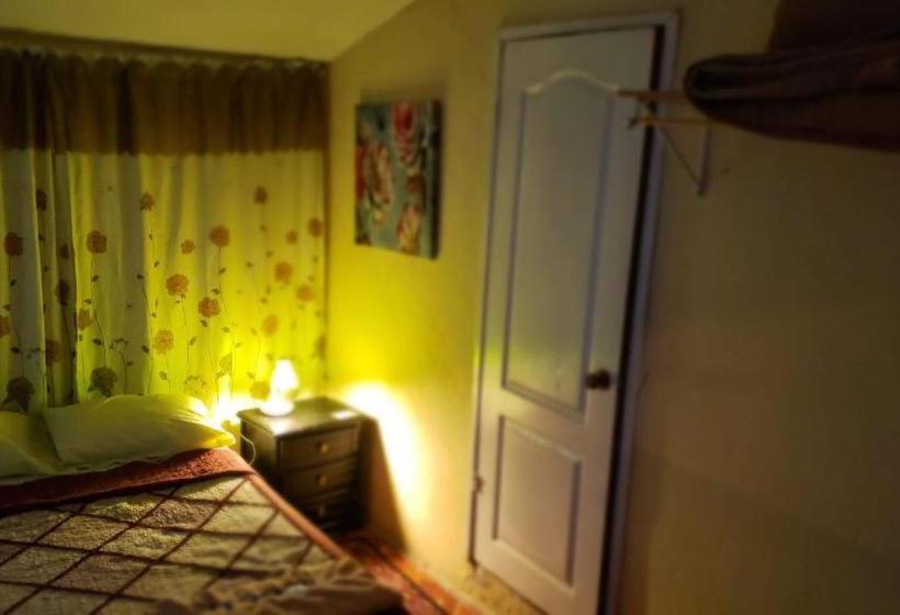 Le Malu Yellow Hostal