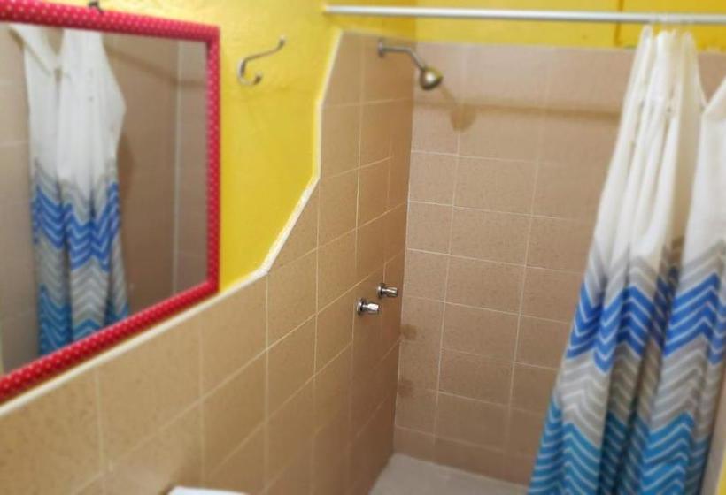 Le Malu Yellow Hostal