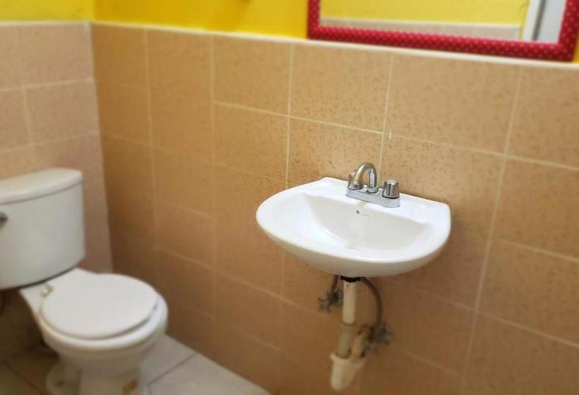 Le Malu Yellow Hostal