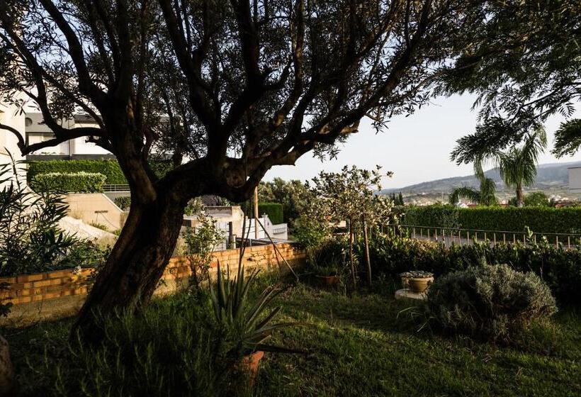 ベッドアンドブレックファースト Torre Ancinale