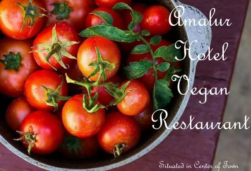 ホテル Restaurante Amalur