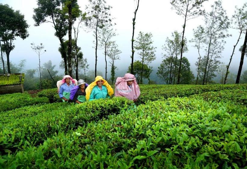 Winter Vale Green Stay Resorts