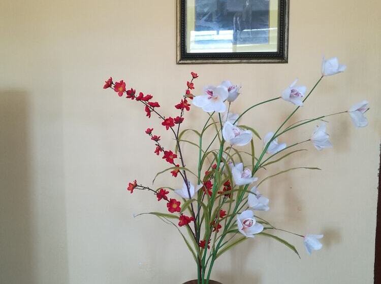 Aamiaismajoitus (B&B) Casa Norge Y Nelida