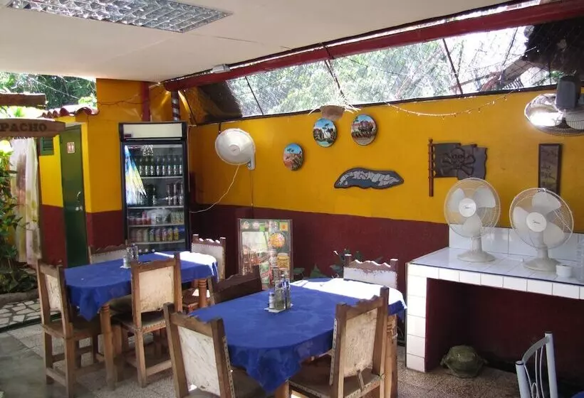 Blueroom & Hostal Saiz