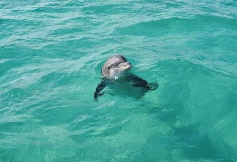 Fontainebleau 335 By Avantstay Beachfront Access