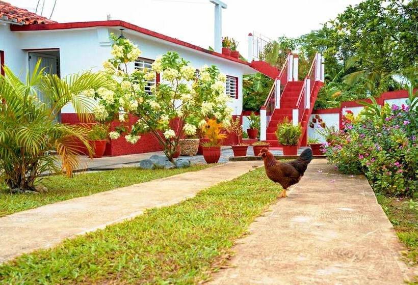 پانسیون Casa Esthercita