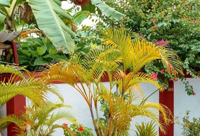 پانسیون Casa Esthercita