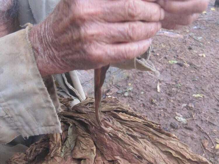 پانسیون Casa La Guzman