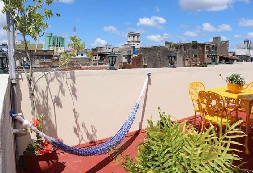 پانسیون Hostal Gaviota Marina