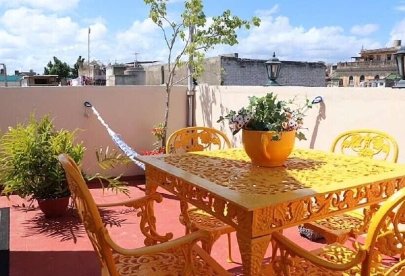 پانسیون Hostal Gaviota Marina