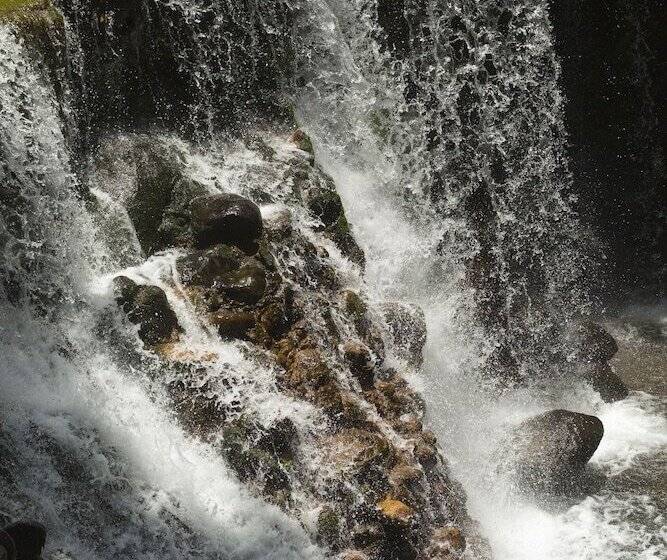 ベッドアンドブレックファースト Iao Valley Inn