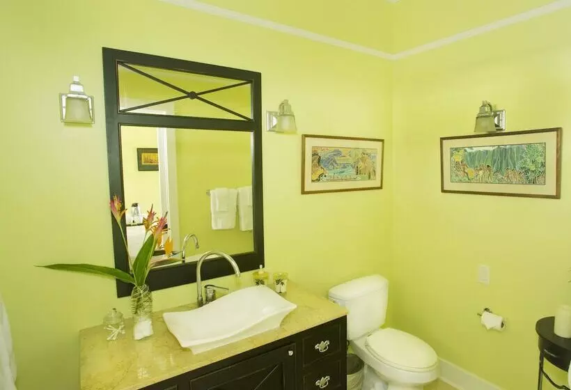 Aamiaismajoitus (B&B) Iao Valley Inn