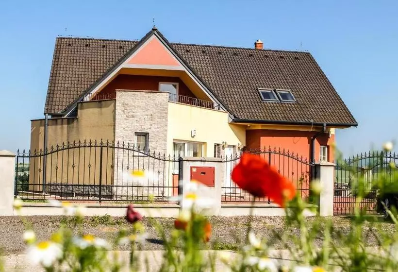 Aamiaismajoitus (B&B) Synergy House
