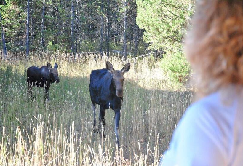 مبيت وإفطار The Hideaway Lodge