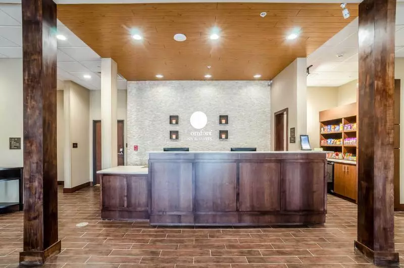 ホテル Comfort Inn & Suites Augusta